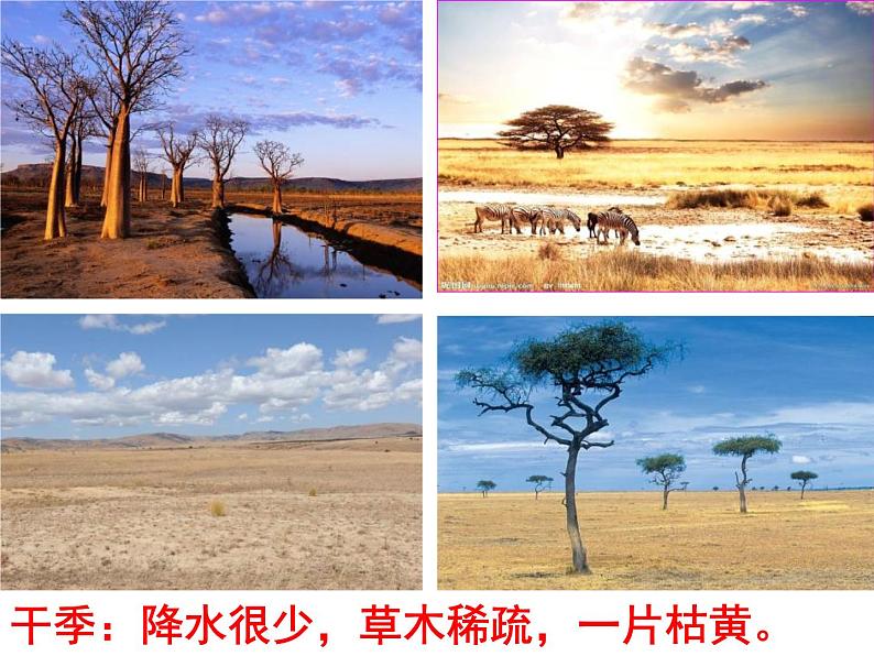 逐水草而居 课件第7页