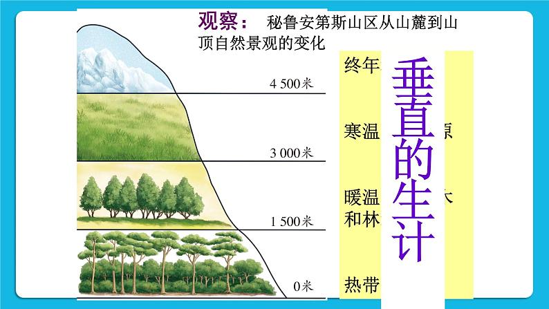 3.2.1 垂直的生计 课件+素材06