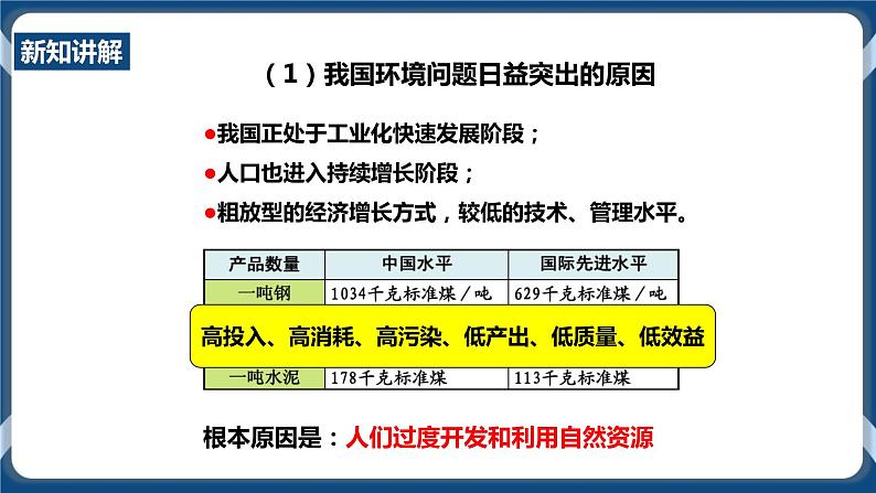 人教版历史与社会九年级下册8.3.2共同关注的环境问题（第2课时）PPT课件第4页