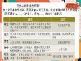 人教版(新课标)八下历史与社会综合探究五探讨乾隆盛世的危机课件PPT