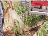 3.1.2《用机械种庄稼》课件-人教版（人文地理）历史与社会七年级上册