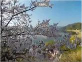3.3.1《耕海牧渔》课件-人教版（人文地理）历史与社会七年级上册