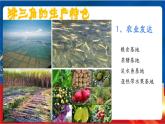5.2.3《开放的珠江三角洲地区》课件-人教版人文地理下册