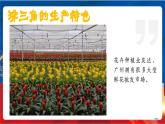5.2.3《开放的珠江三角洲地区》课件-人教版人文地理下册