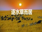 《逐水草而居》課件