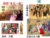 人教版九年级历史与社会上册 第一单元 综合探究一 从驱除鞑虏到五族共和（共16张PPT）