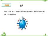 7.2经济全球化（课件+教案+练习）