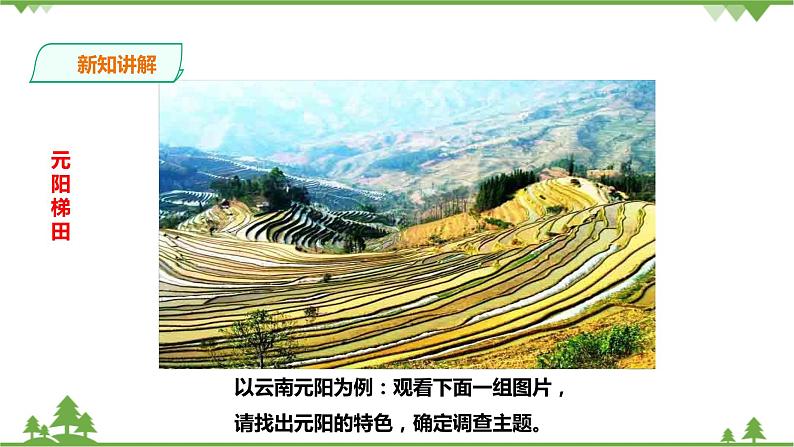 第六单元综合探究六如何开展社会调查 教学课件第5页