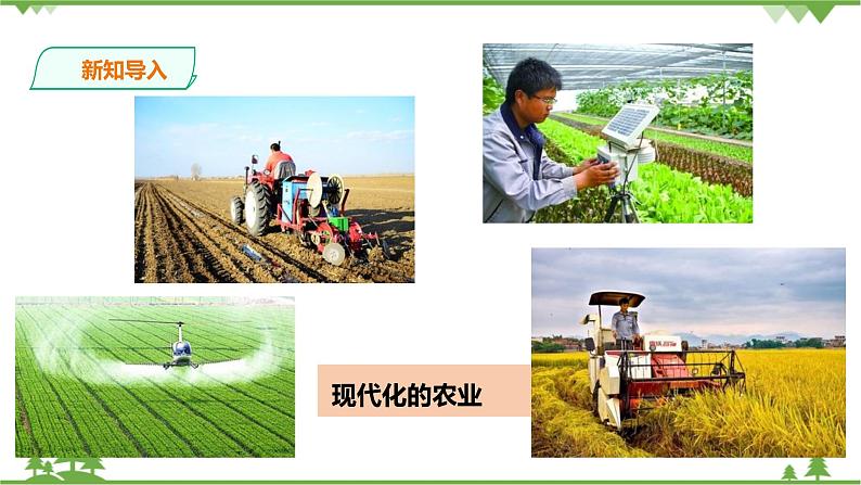 8.1原始先民的家园 第2课时（课件+教案+练习）04