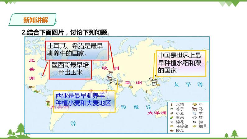 8.1原始先民的家园 第2课时（课件+教案+练习）07