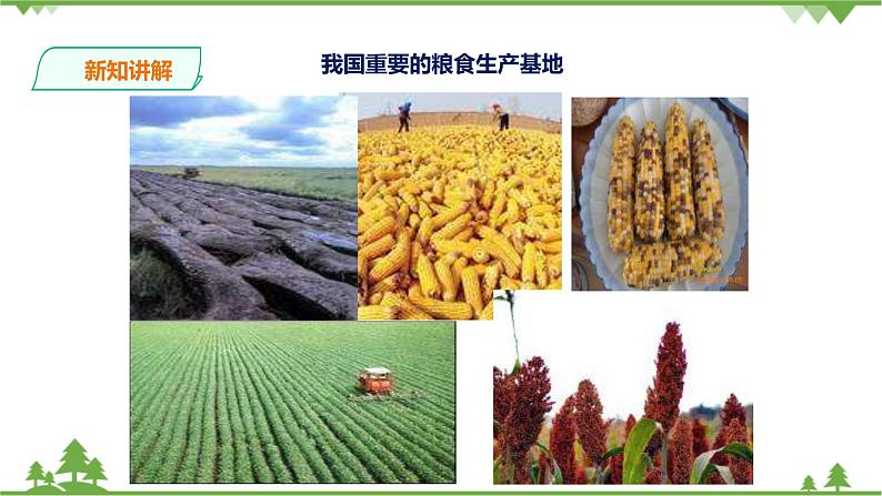 6.1北方地区 第1课时（课件+教案+练习）05