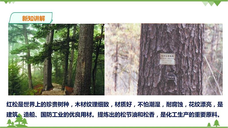 6.1北方地区 第1课时（课件+教案+练习）07