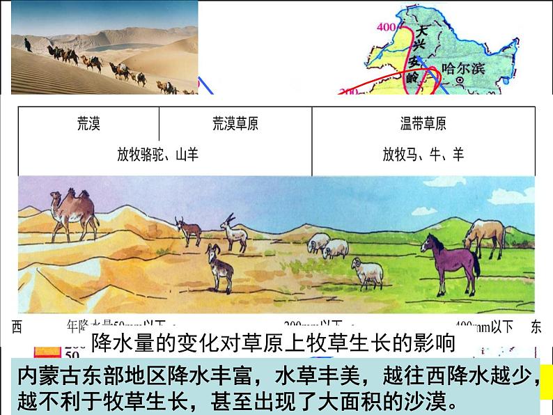 2020-2021学年人教版初中历史与社会七年级下册 6.3.2草原风情---内蒙古大草原教学课件共27张PPT第8页