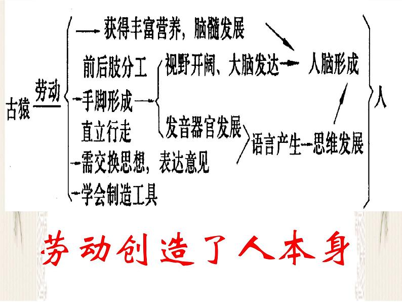 2020-2021学年人教版七年级历史与社会下册 8.1.1追寻原始先民的足迹课件（共28张PPT）第3页