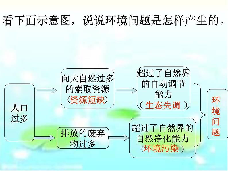 人教版历史与社会九年级下册8.3 共同关注的环境问题(共44张PPT)第5页