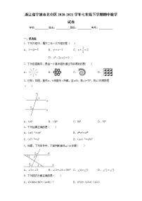 浙江省宁波市北仑区2020-2021学年七年级下学期期中数学试卷（word版 含答案）