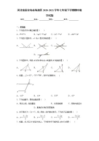 河北省秦皇岛市海港区2020-2021学年七年级下学期期中数学试题（word版 含答案）