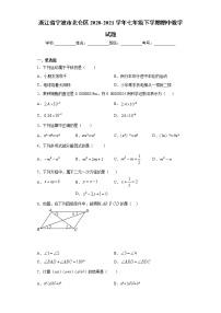 浙江省宁波市北仑区2020-2021学年七年级下学期期中数学试题（word版 含答案）