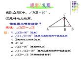 沪教版数学八上19.8《直角三角形的性质》课件 (1)