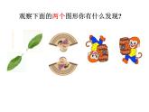 沪教版数学七上课件11.4 中心对称课件