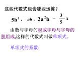 沪教版数学七上课件9.4 整式课件