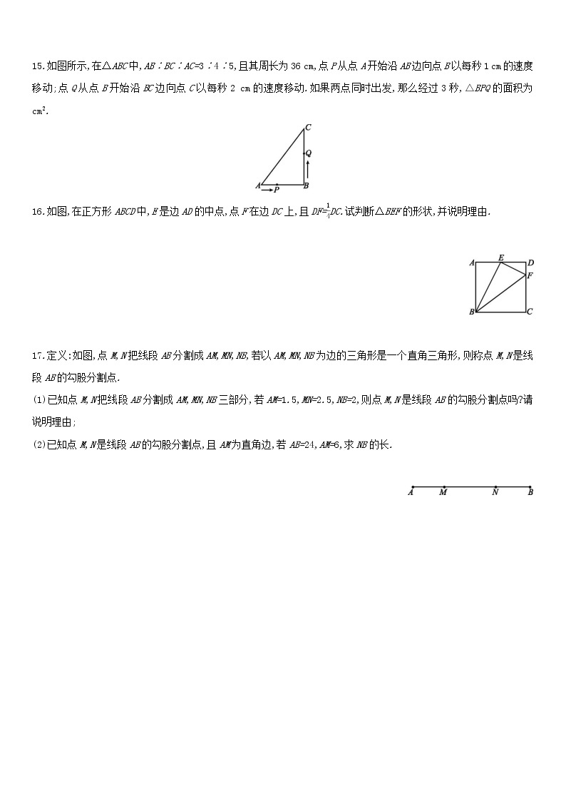 北师大版八年级数学上册 第一章 1.2一定是直角三角形吗 同步作业试卷03