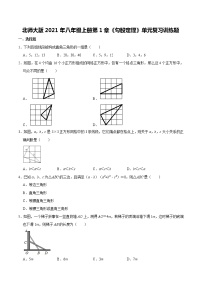 北师大版八年级上册第一章 勾股定理综合与测试巩固练习