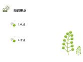 3.4 方差-2020秋蘇科版九年級(jí)數(shù)學(xué)上冊(cè)課件(共21張PPT)
