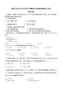 湖北省襄阳市襄州区2020-2021学年七年级下学期期末数学试题（word版 含答案）