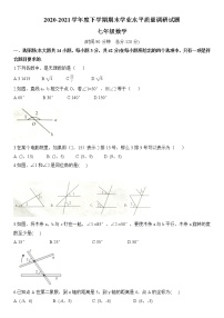 山东省临沂市河东区七年级数学2020-2021学年下学期期末测试（word版 无答案）