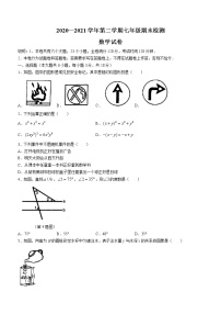 江西省吉安市吉州区2020-2021学年七年级下学期期末数学试题（word版 含答案）