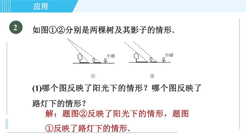 北师版九年级上册数学习题课件 第5章 5.1.2目标二　平行投影、中心投影、正投影的五种常见应用第5页