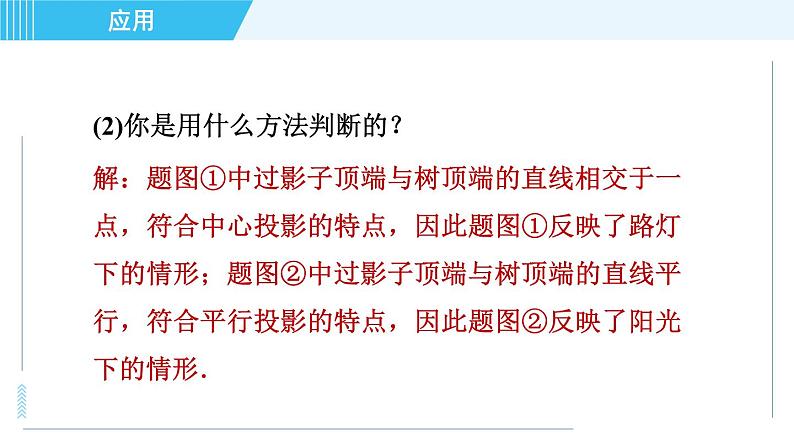 北师版九年级上册数学习题课件 第5章 5.1.2目标二　平行投影、中心投影、正投影的五种常见应用第6页