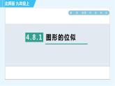 北师版九年级上册数学习题课件 第4章 4.8.1图形的位似