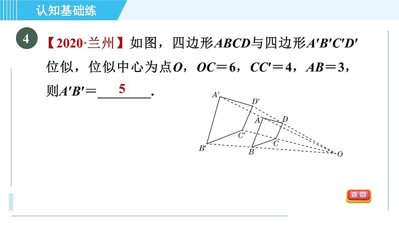 北师版九年级上册数学习题课件 第4章 4.8.1图形的位似第7页