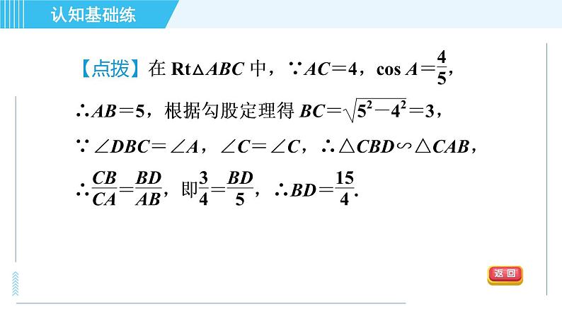 冀教版九年级上册数学习题课件 第26章 26.1.2目标二　余弦06