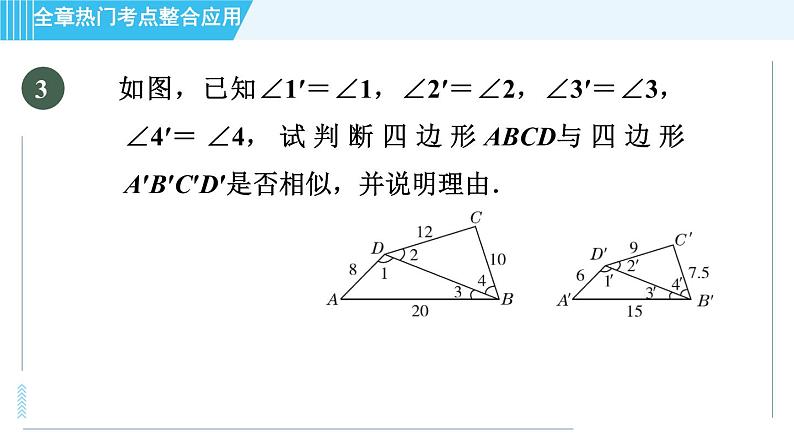 北师版九年级上册数学习题课件 第4章 全章热门考点整合应用第5页