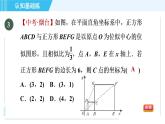 北师版九年级上册数学习题课件 第4章 4.8.2平面直角坐标系中的位似变换