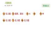 北师版七年级上册数学课件 第1章 1.1.2 图形的构成