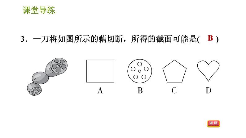 北师版七年级上册数学课件 第1章 1.3 截一个几何体第5页