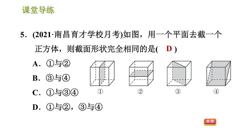 北师版七年级上册数学课件 第1章 1.3 截一个几何体第7页