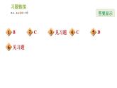 北师版七年级上册数学课件 第1章 题型特训 几何图形初步认识的六种常见题型