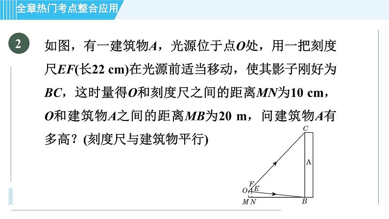 北师版九年级上册数学习题课件 第5章 全章热门考点整合应用04