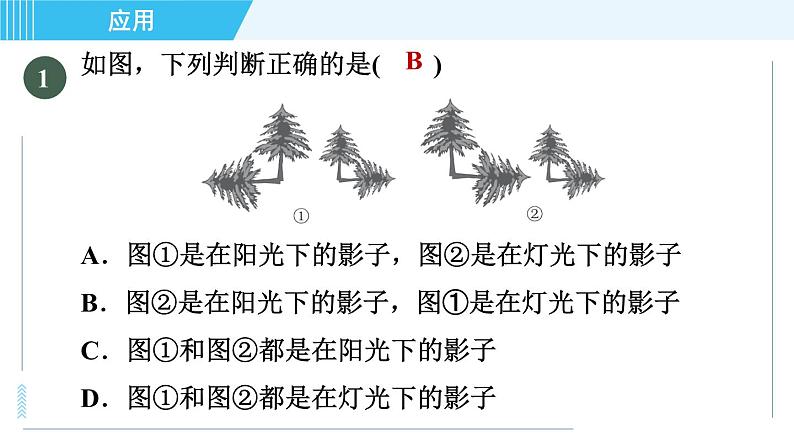 北师版九年级上册数学习题课件 第5章 5.1.2目标二　平行投影、中心投影、正投影的五种常见应用第3页