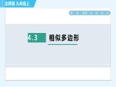 北师版九年级上册数学习题课件 第4章 4.3相似多边形