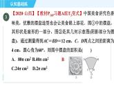 冀教版九年級上冊數(shù)學習題課件 第28章 28.5目標二　扇形面積計算