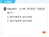 冀教版九年級(jí)上冊(cè)數(shù)學(xué)習(xí)題課件 第26章 26.1.2目標(biāo)三　特殊角的正弦、余弦值