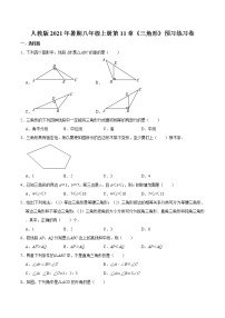 人教版八年级上册第十一章 三角形综合与测试同步练习题