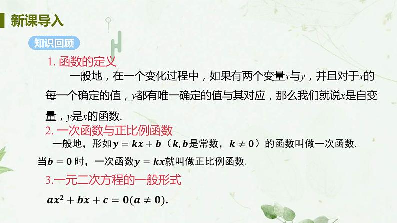 22.1.1二次函数 课件-2021-2022学年人教版九年级数学上册03