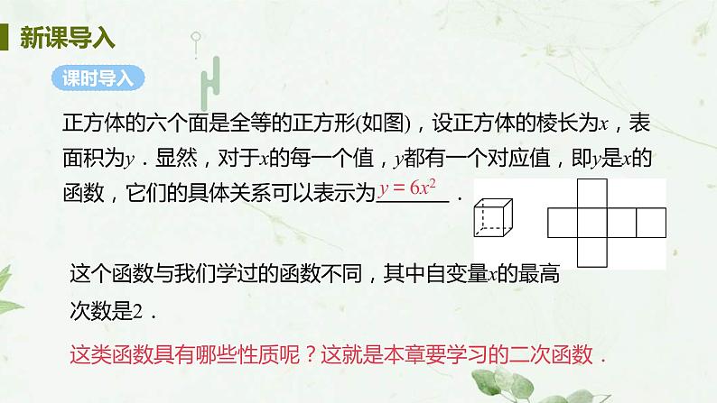 22.1.1二次函数 课件-2021-2022学年人教版九年级数学上册04